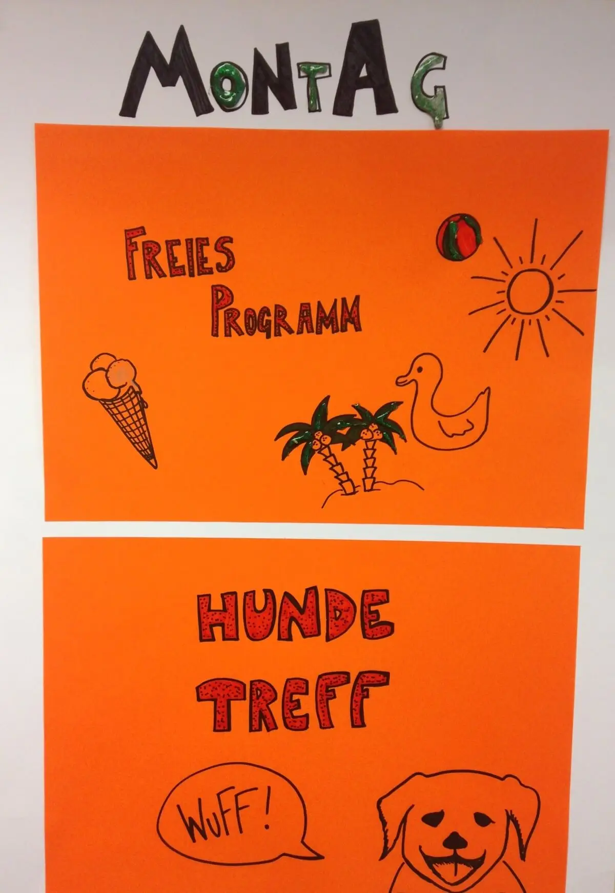 ferienohnehandicap-camp-III-2017_hunde_001