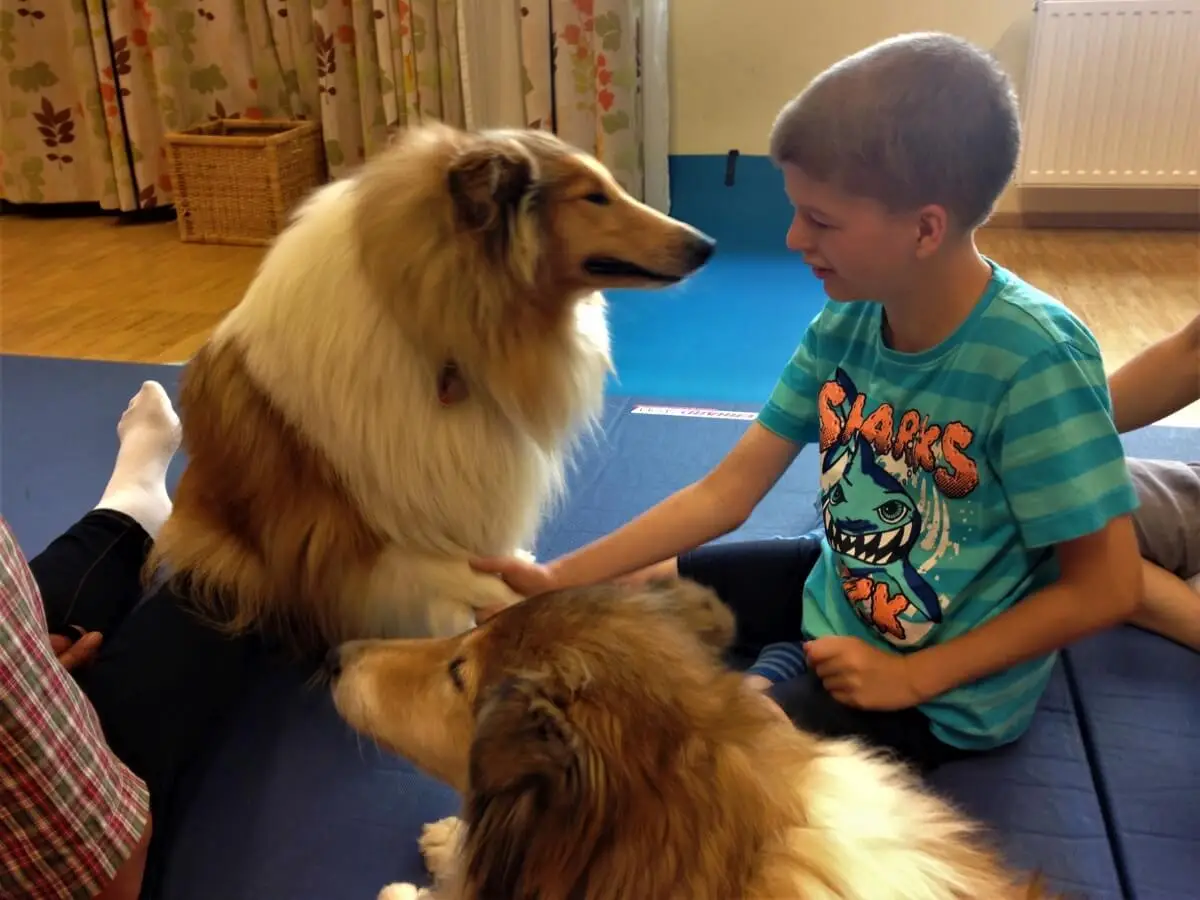 ferienohnehandicap-camp-III-2017_hunde_006