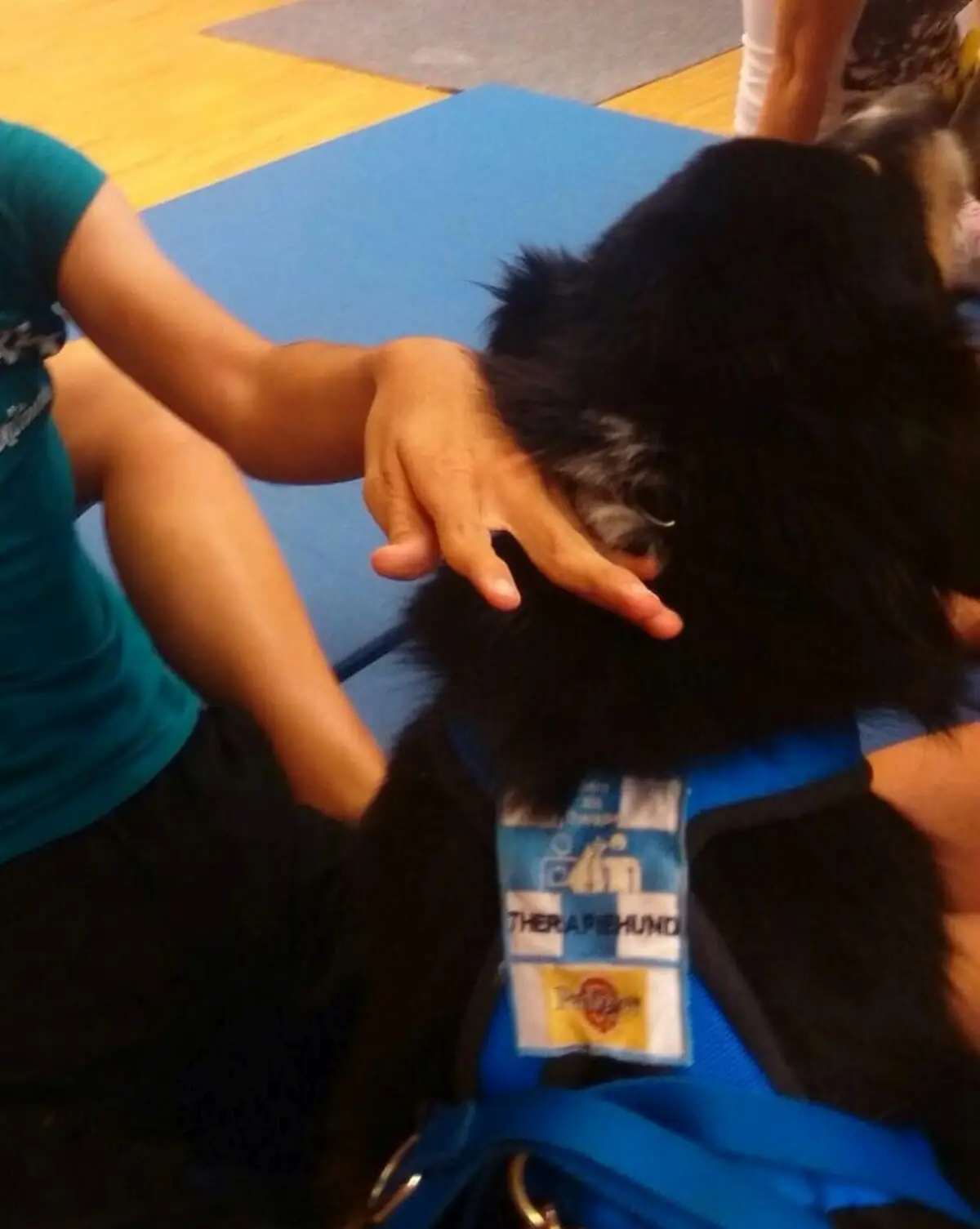 ferienohnehandicap-camp-III-2017_hunde_011