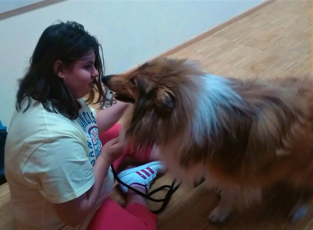 ferienohnehandicap-camp-III-2017_hunde_012