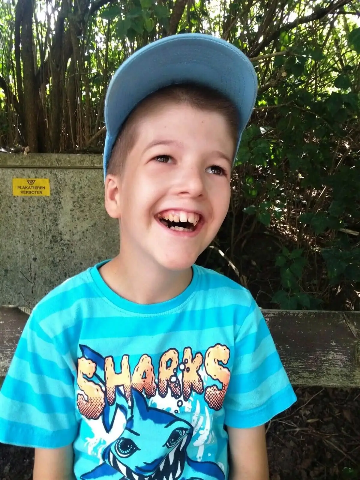 ferienohnehandicap-camp-III-2017_hunde_017