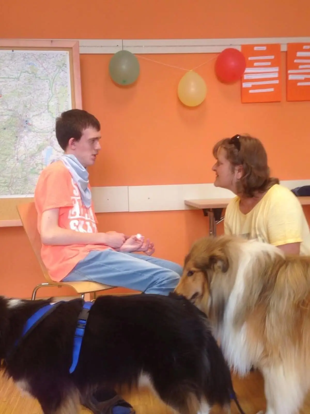 ferienohnehandicap-camp-III-2017_hunde_018