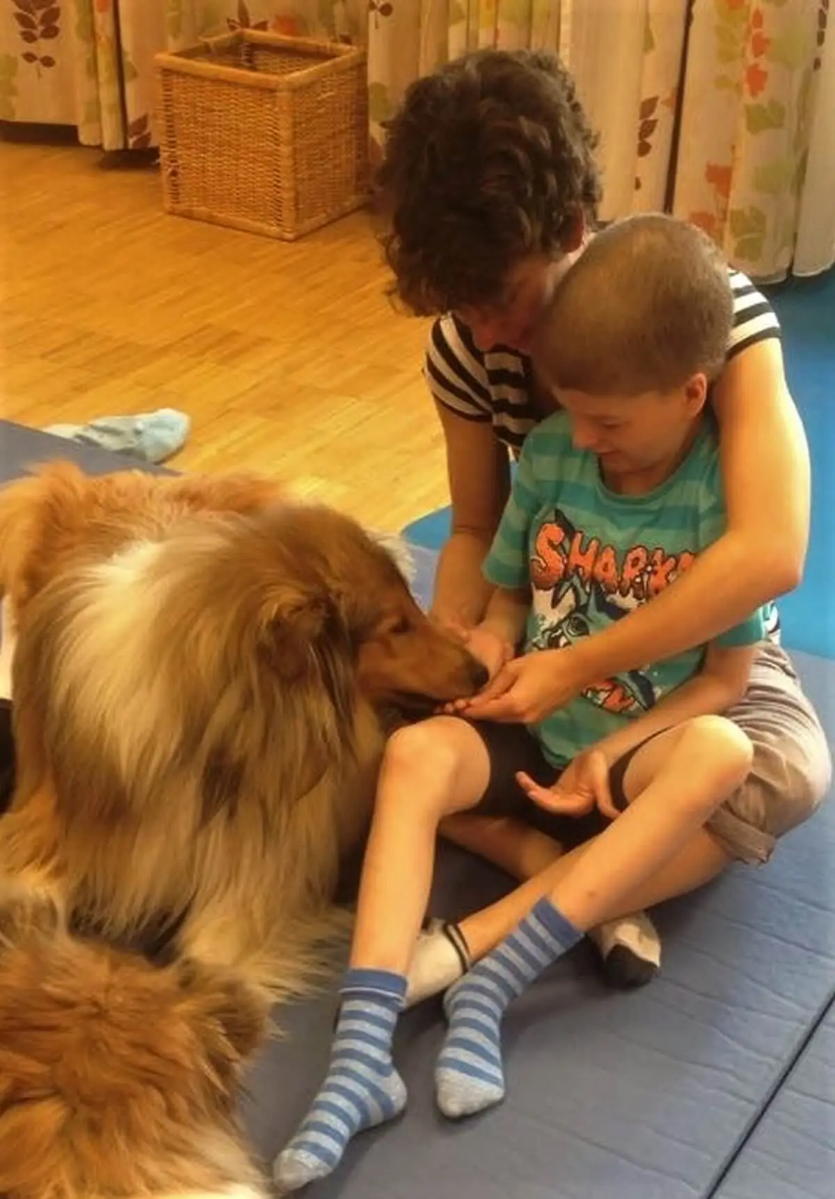 ferienohnehandicap-camp-III-2017_hunde_019