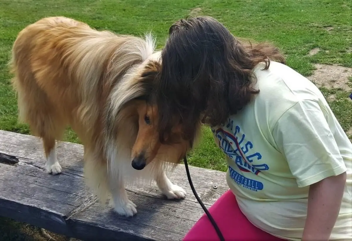 ferienohnehandicap-camp-III-2017_hunde_032