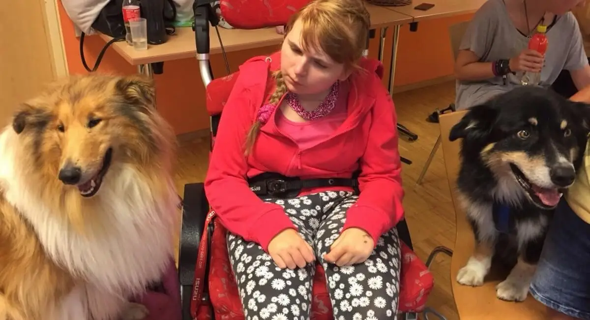 ferienohnehandicap-camp-III-2017_hunde_039