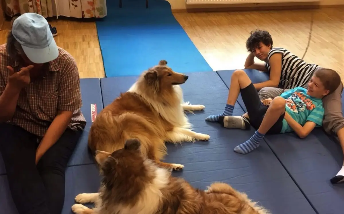 ferienohnehandicap-camp-III-2017_hunde_041