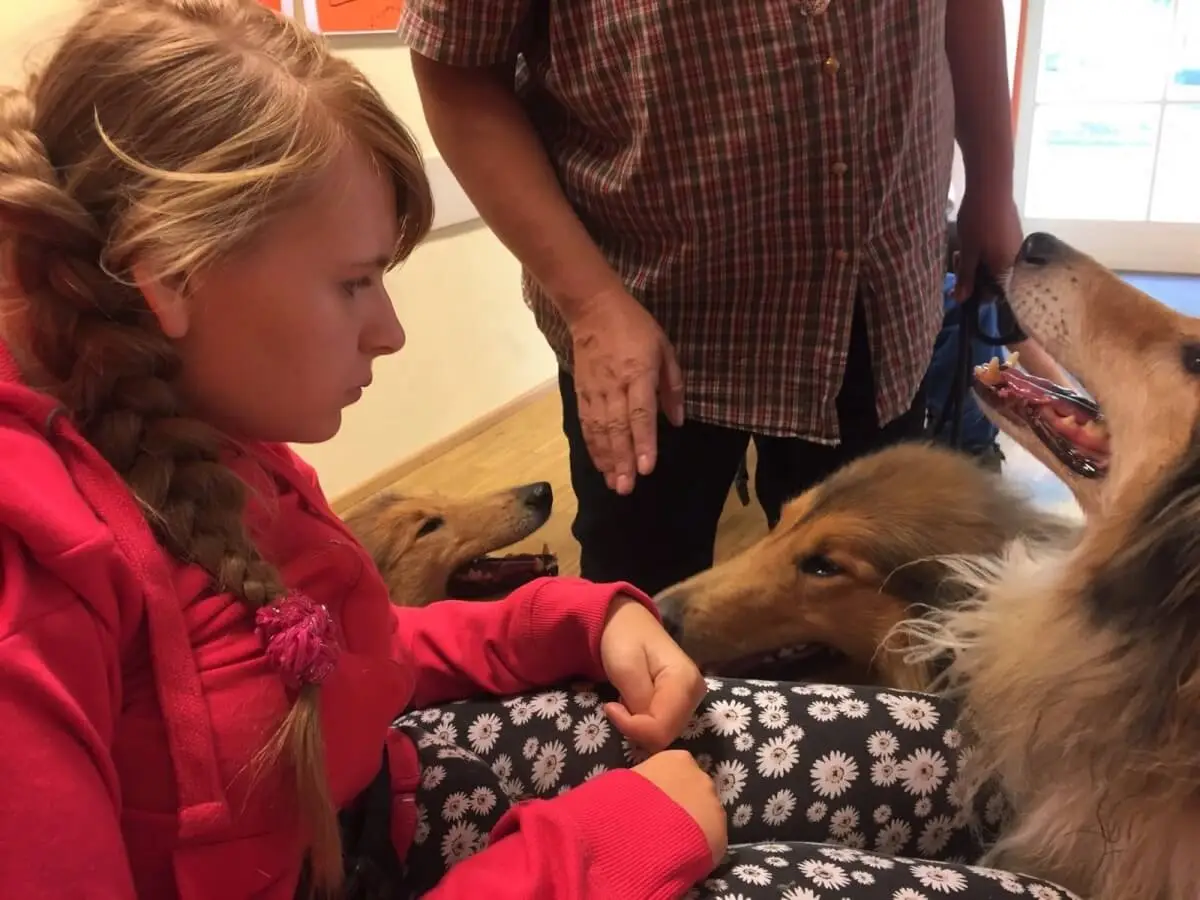 ferienohnehandicap-camp-III-2017_hunde_046