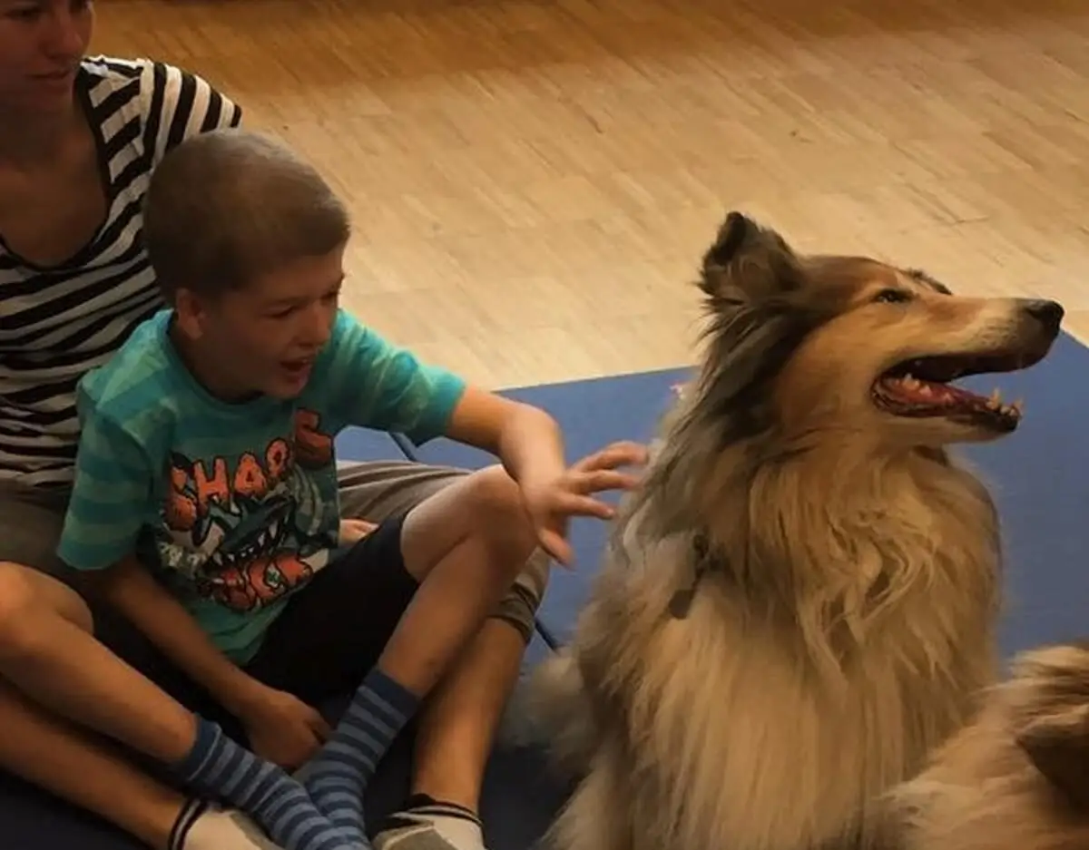 ferienohnehandicap-camp-III-2017_hunde_048