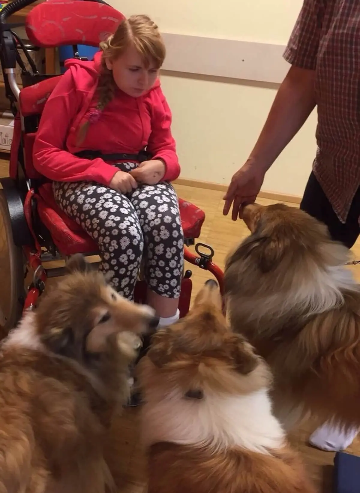 ferienohnehandicap-camp-III-2017_hunde_049