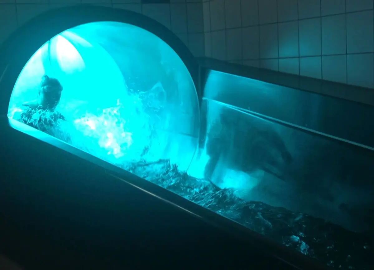 ferienohnehandicap-camp-III-2017_schwimmen_donnerstag_030