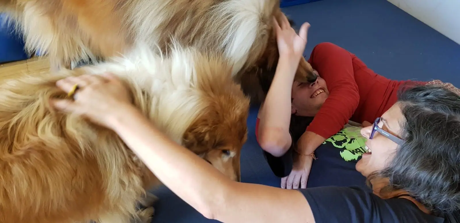 058f224d-d1c3-478e-af64-a10224b6ff04