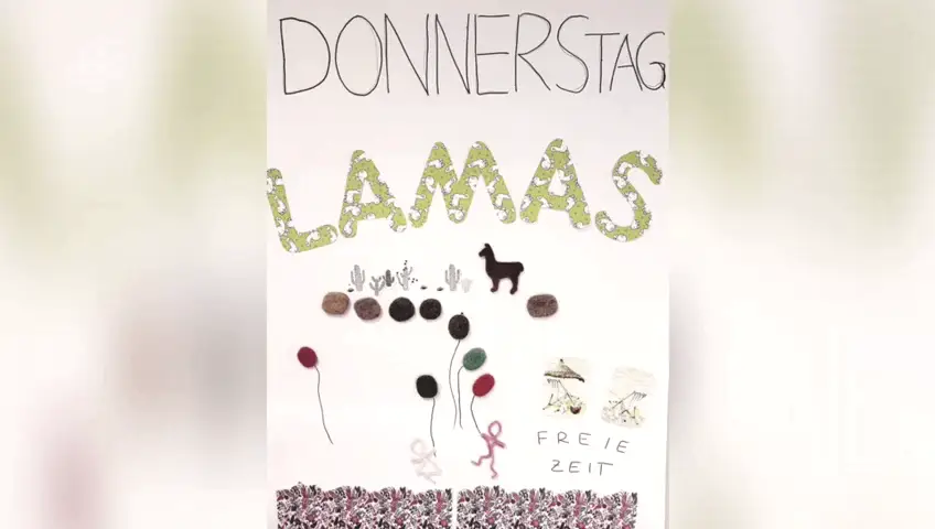 12-VIDEO
